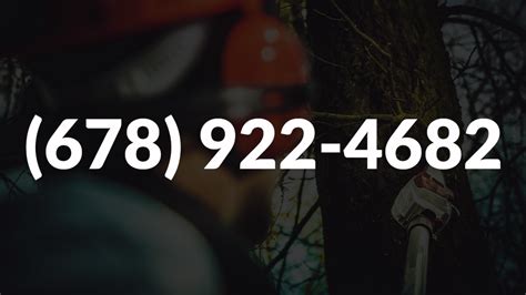 Vilchis tree service  See reviews, photos, directions, phone numbers and more for Vilchis Tree Service Of Fayetteville locations in Atlanta, GA